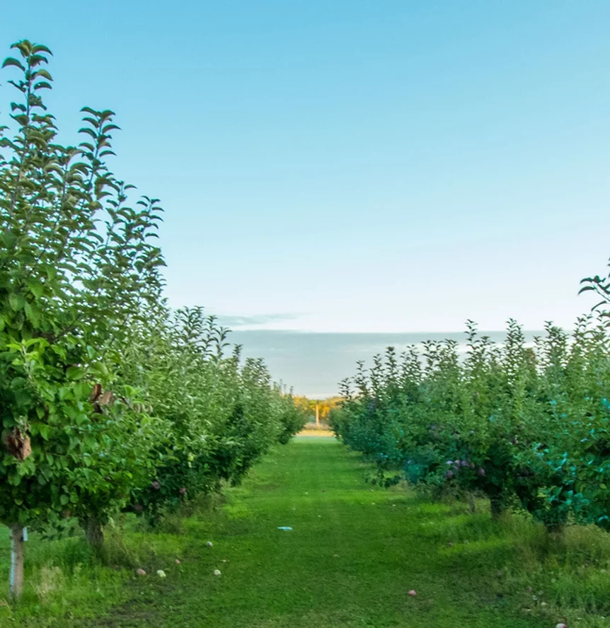 PriddyGoodFruit005_JPG (2)